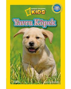 Yavru Köpek
