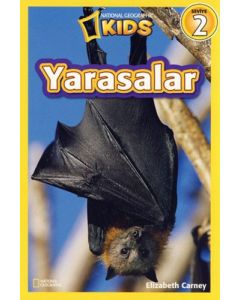 Yarasalar - Seviye 2