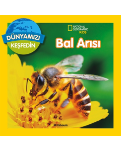Bal Arıları