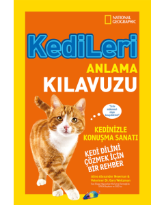 Kedileri Anlama Kılavuzu