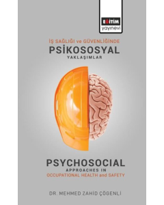 İş Sağlığı ve Güvenliğinde Psikososyal Yaklaşımlar