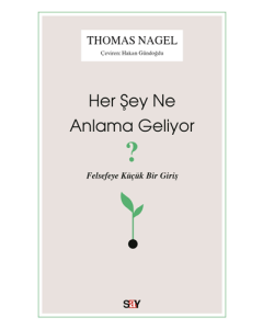 Her Şey Ne Anlama Geliyor?