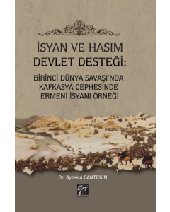 İsyan ve Hasım Devlet Desteği: Birinci Dünya Savaşı'nda Kafkasya Cephesinde Ermeni İsyanı Örneği