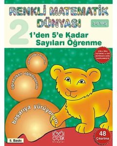 Renkli Matematik Dünyası 2