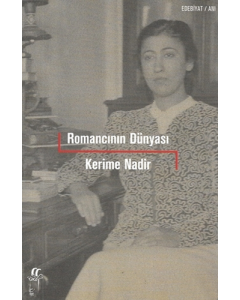 Romancının Dünyası