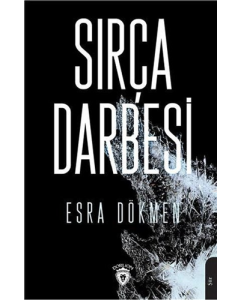 Sırça Darbesi