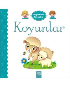 Koyunlar