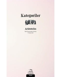 Kategoriler