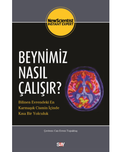 Beynimiz Nasıl Çalışır?