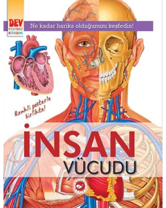 İnsan Vücudu