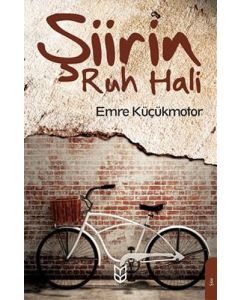 Şiirin Ruh Hali