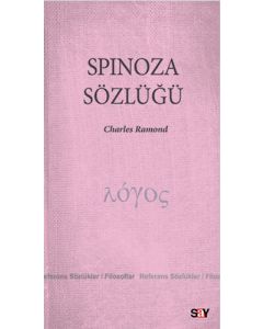 Spinoza Sözlüğü