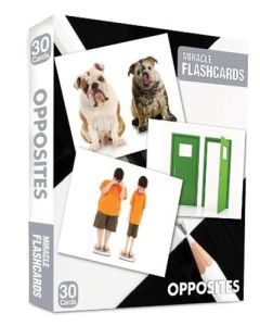 Miracle Flashcards - Opposites