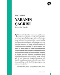 Yabanın Çağrısı