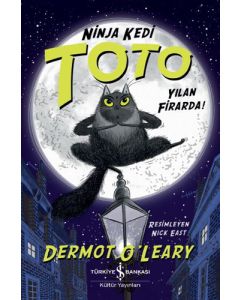 Ninja Kedi Toto