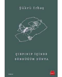 Çırpınıp İçinde Döndüğüm Dünya
