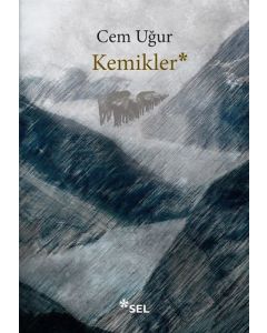 Kemikler