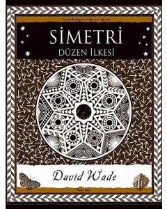 Simetri - Düzen İlkesi