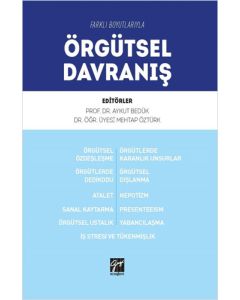 Farklı Boyutlarıyla Örgütsel Davranış
