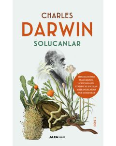 Solucanlar