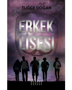 Erkek Lisesi