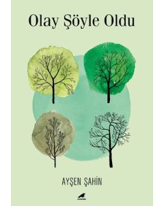 Olay Şöyle Oldu