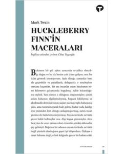 Huckleberry Finn'in Maceraları