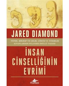 İnsan Cinselliğinin Evrimi