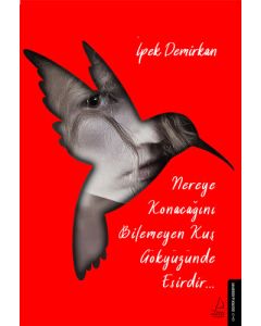 Nereye Konacağını Bilemeyen Kuş Gökyüzünde Esirdir