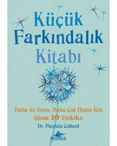 Küçük Farkındalık Kitabı (Cep Boy)
