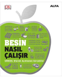 Besin Nasıl Çalışır (Ciltli)