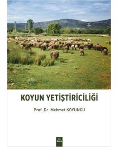 Koyun Yetiştiriciliği