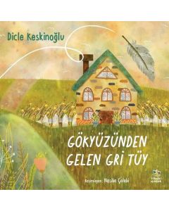 Gökyüzünden Gelen Gri Tüy