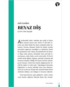 Beyaz Diş