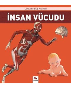 İnsan Vücudu