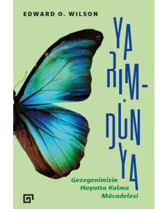 Yarım-Dünya