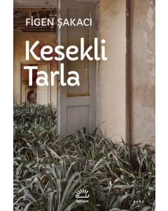 Kesekli Tarla