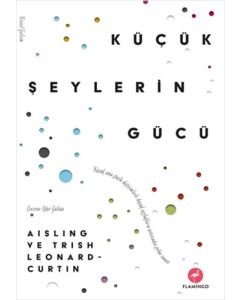 Küçük Şeylerin Gücü