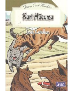 Kurt Hücumu