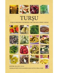 Turşu
