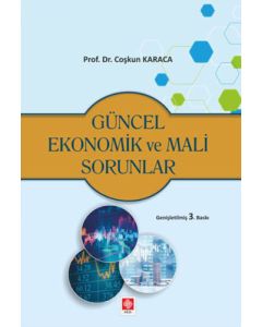 Güncel Ekonomik ve Mali Sorunlar