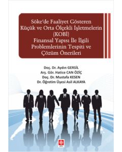 Söke'de Faaliyet Gösteren Küçük ve Orta Ölçekli işletmelerin (KOBİ) Finansal Yapısı ile İlgili Problemlerinin Tespiti ve Çözüm Önerileri