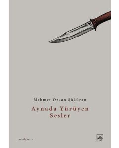 Aynada Yürüyen Sesler