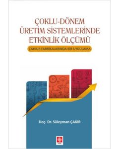 Çoklu-Dönem Üretim Sistemlerinde Etkinlik Ölçümü