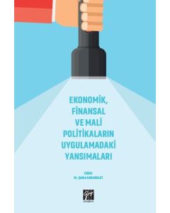 Ekonomik, Finansal ve Mali Politikaların Uygulamadaki Yansımaları