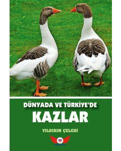 Dünyada Ve Türkiye'de Kazlar
