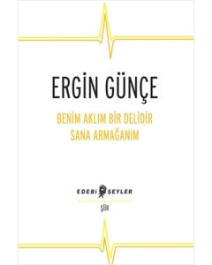 Benim Aklım Bir Delidir Sana Armağanım
