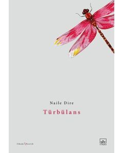 Türbülans