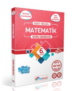 6.Sınıf Matematik Özet Bilgili Soru Bankası