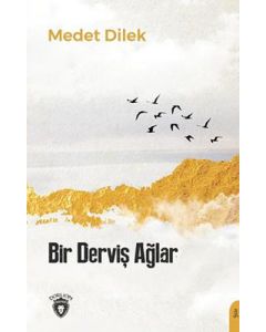 Bir Derviş Ağlar